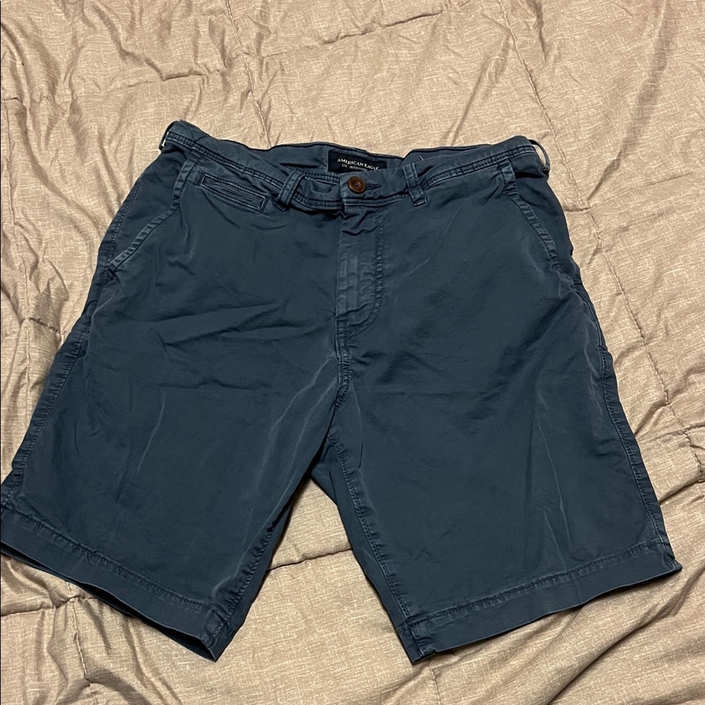 NWOT American Eagle Outfitters Men's Blue Classic Flat Front Shorts 30